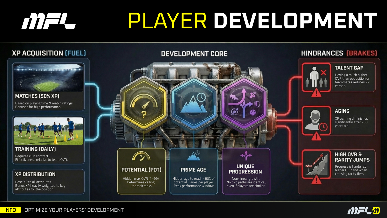 Player Management | MFL Guide